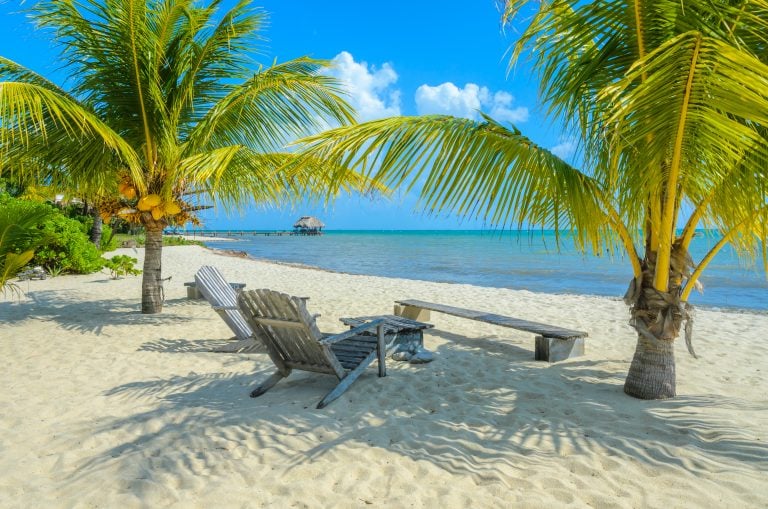 two wooden chairs on one of the beaches in placencia belize framed by two palm trees