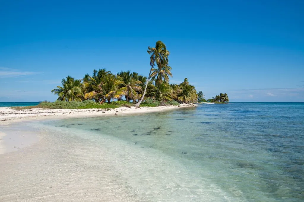 view of the small laughing bird caye with palm trees as seen from the shallow water surrounding it, one of the best activities in belize