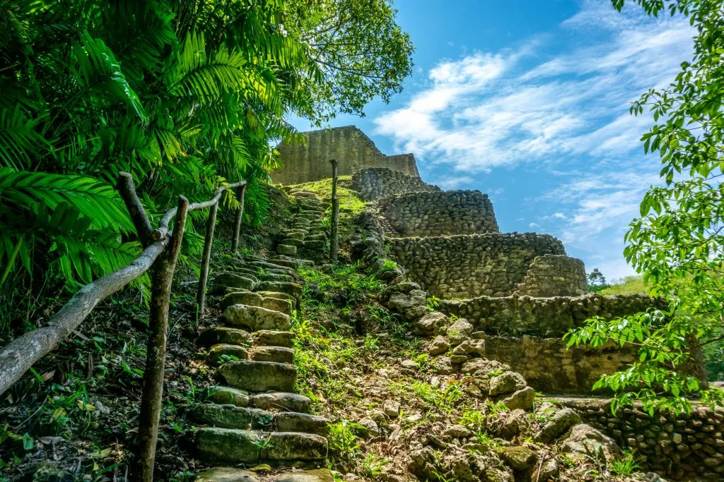 stone stairs leading to the top of a pyramid surrounded by jungle at caracol, one of the best things to do belize