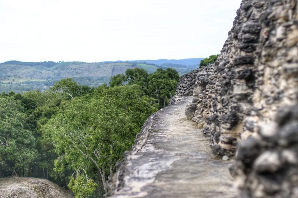 view of the jungle from the top of a temple at Xunantunich belize