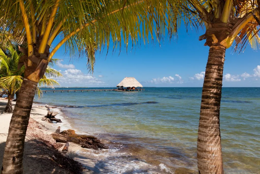 view of the water surrounding placencia belize framed by palm trees, a free view on a travel budget belize