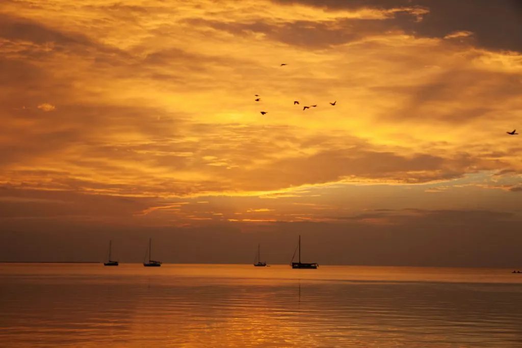 sunset over the water on caye caulker with sailboats visible in the background