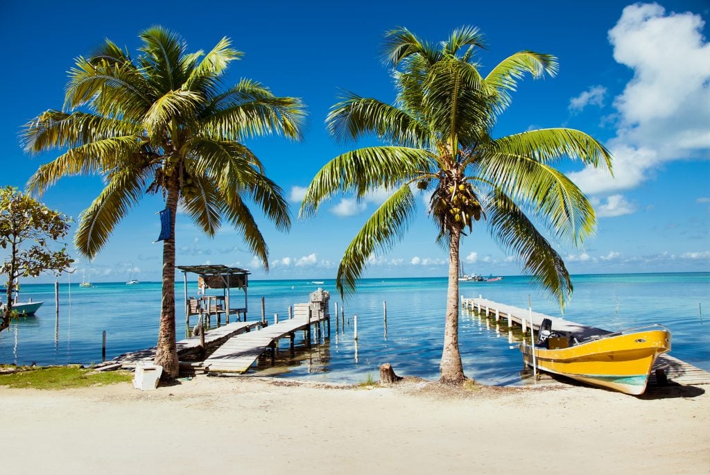 view of docks on a caye in belize framed by palm trees with a yellow boat to the side