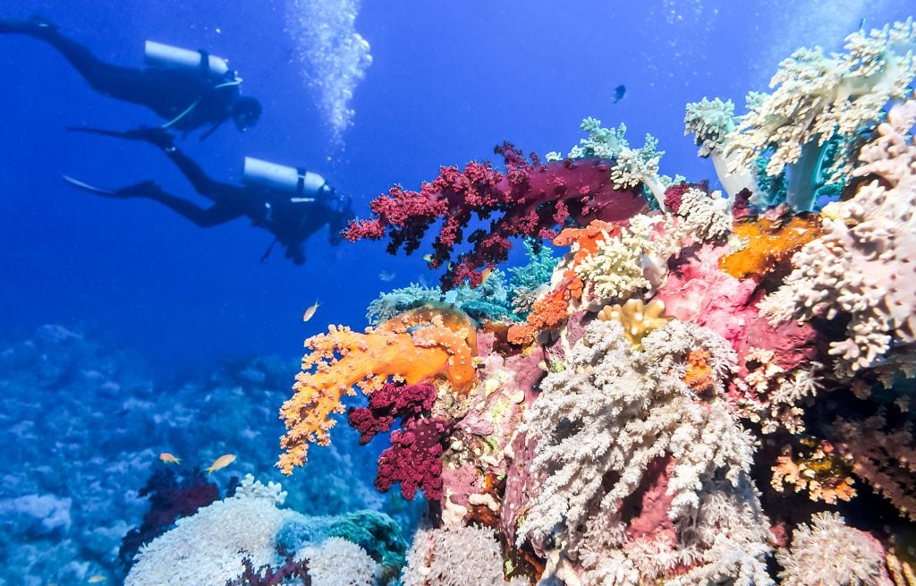 colorful reef system in belize with two scuba divers in the background, one of the best things to do in belize