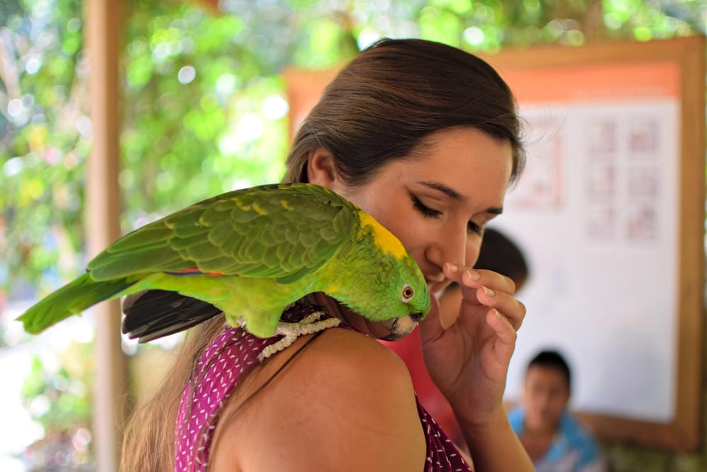 kate storm with a green parrot on her shoulder