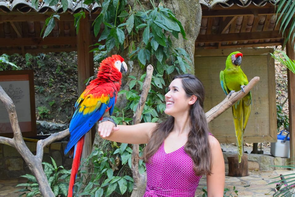 How to Visit Macaw Mountain in Copan, Honduras - Our Escape Clause