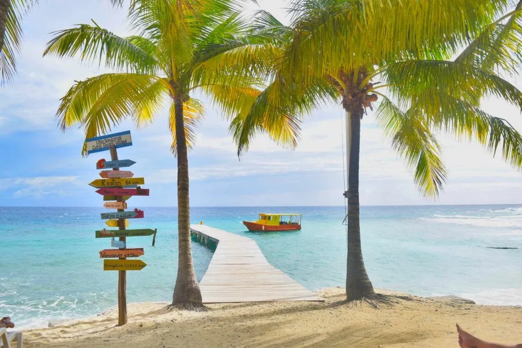 photo of a dock framed by two palm trees with water in the background in utila honduras, a typical scene to pack for on a backpacking central america packing list