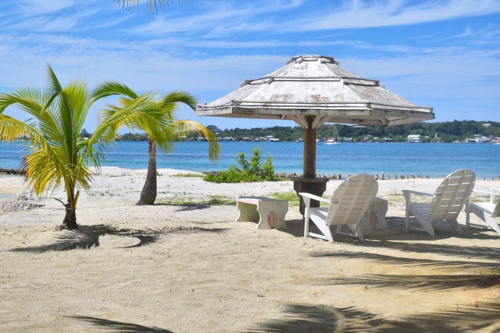 beach in utila honduras with palm trees umbrella and white chairs--you can enjoy this view while traveling cheap
