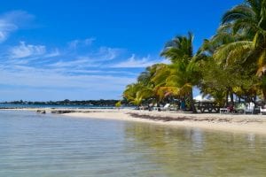 How to Book a Trip: Travel Resources