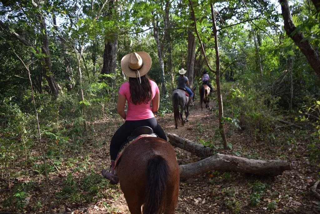 trail ride through a forest in nicaragua, kate storm in a pink shirt riding a horse in the center