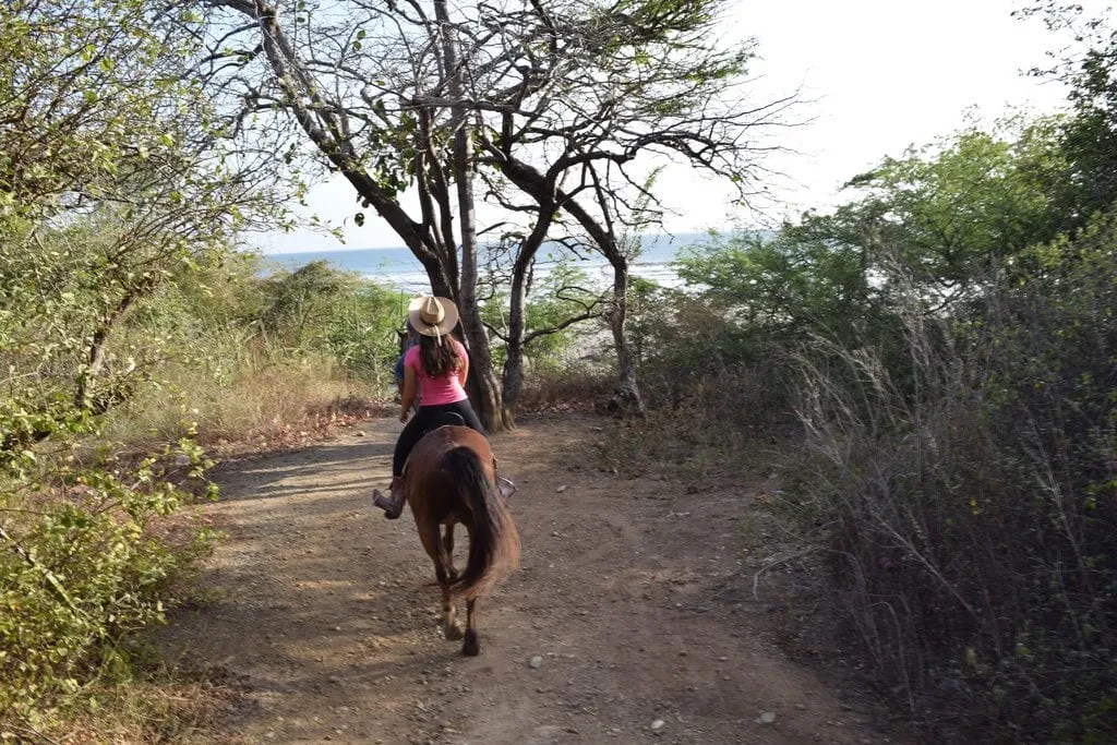kate storm on a brown horse, Horseback Riding in Nicaragua with Rancho Chilamate