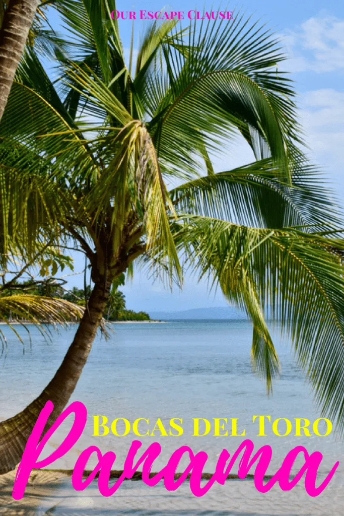 photo of a palm tree on a beach, yellow and pink text reads "bocas del toro panama"