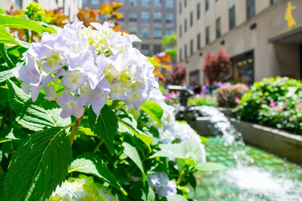 places to visit midtown nyc Weekend in New York City