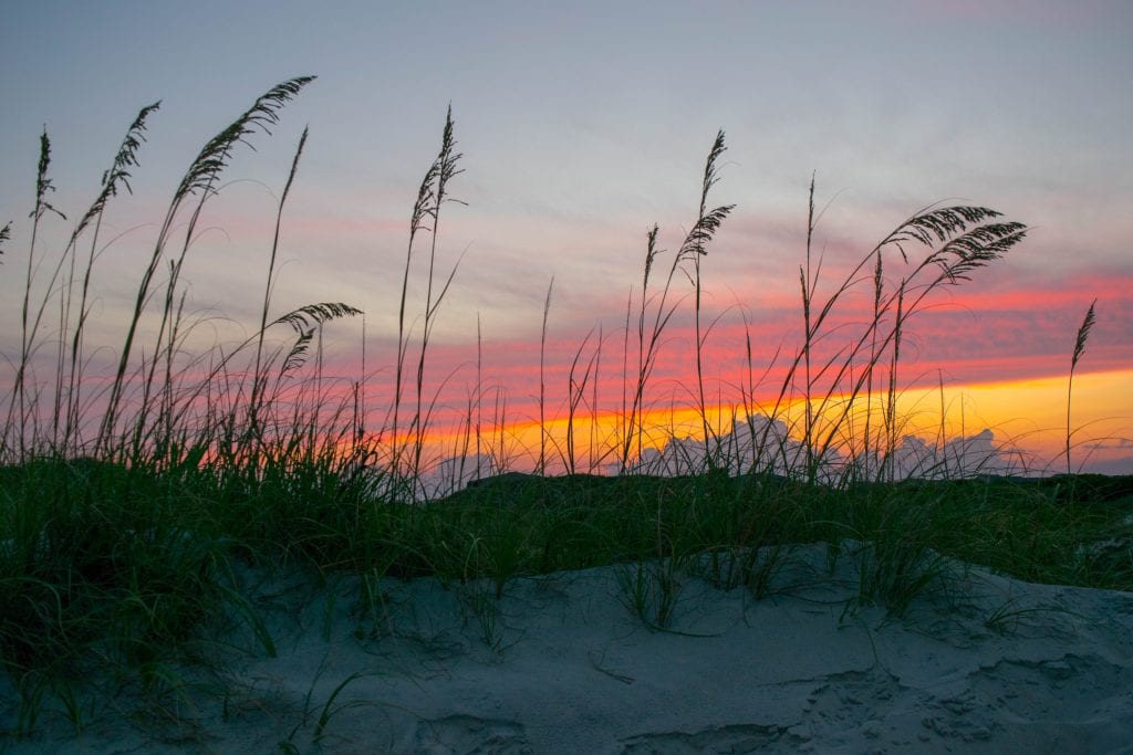 Sunset on a beach with sea grass in the foreground