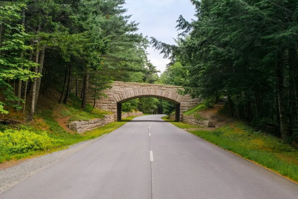 view of park loop road in acadia np with a stone bridge in the center of the image