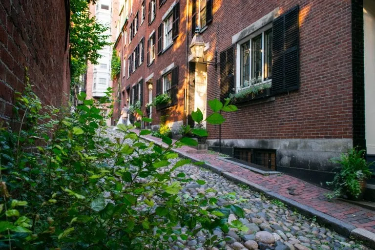 Acorn Street in Bostn MA as seen through a patch of ivy, one of the best things to do in Boston MA