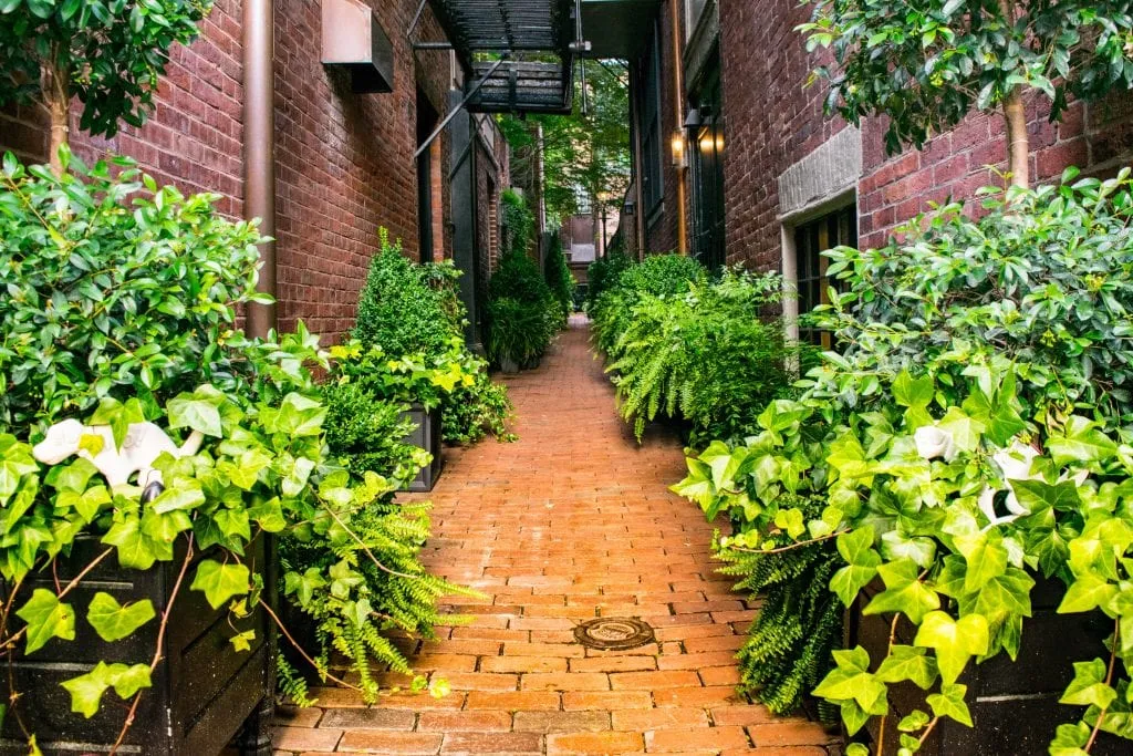 Things to Do in Boston: Beacon Hill