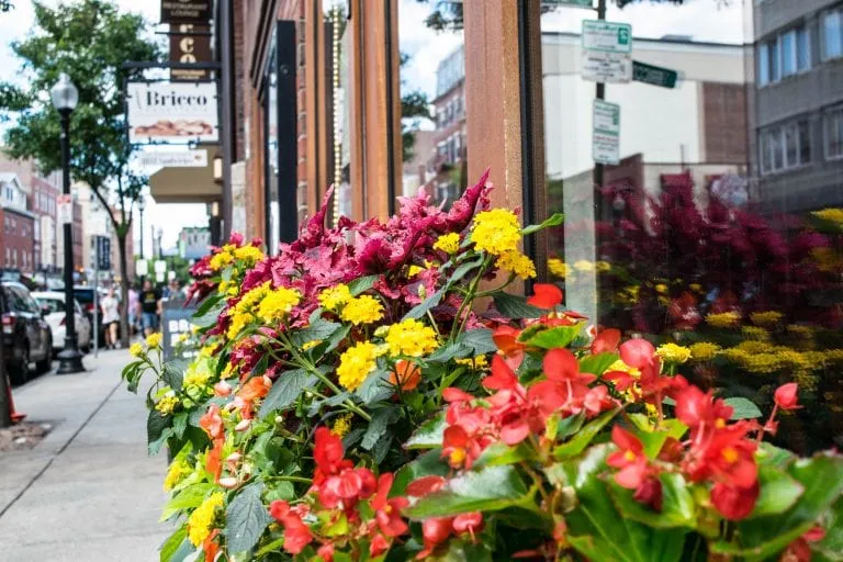 view of brick buildings and flower boxes in the boston north end, one of the best things to do in boston one day itinerary