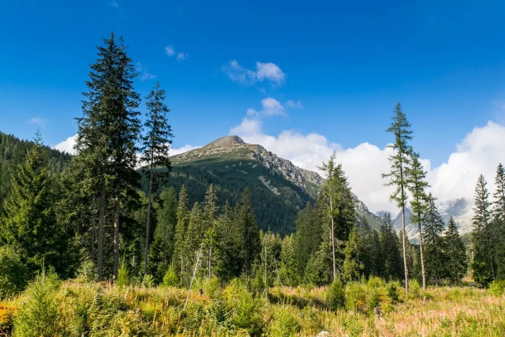 views along hiking trail high tatras slovakia in late summer