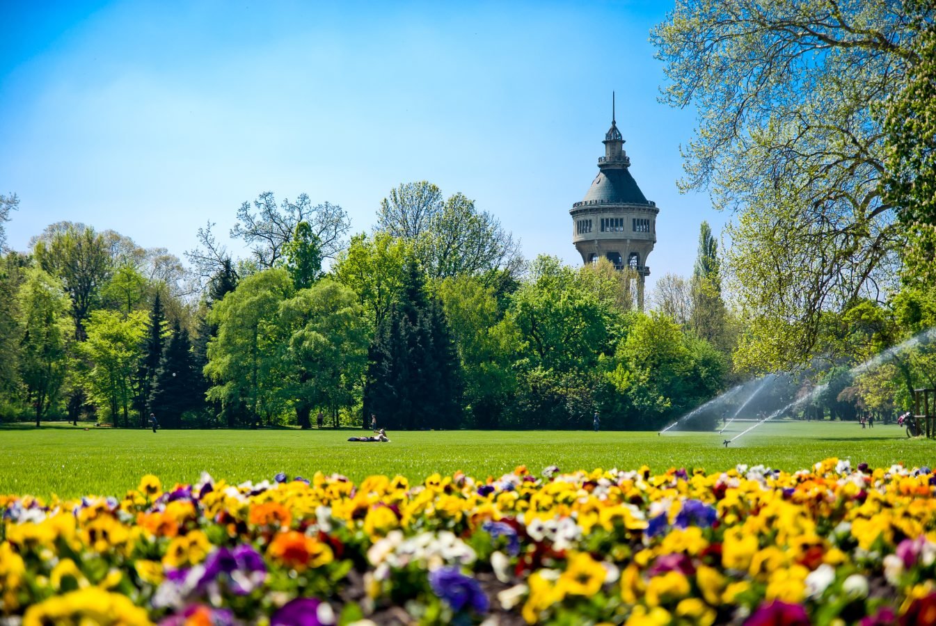 view of blooming flowers and a green lawn on margaret island, one of the best places to visit budapest hungary