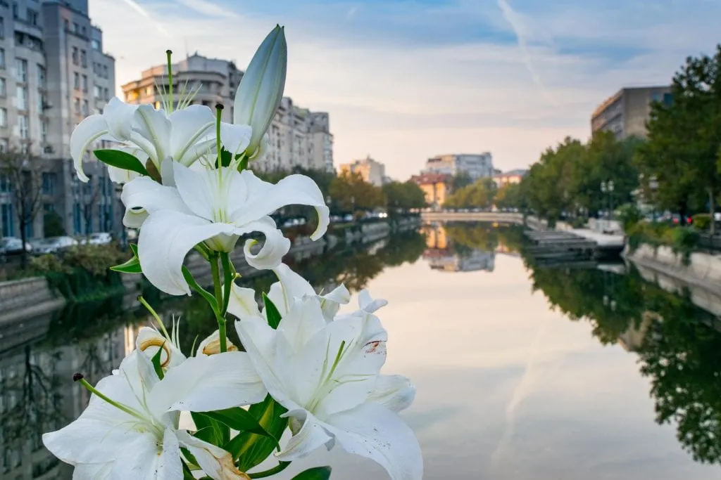 What to Do in Bucharest: River Sunset