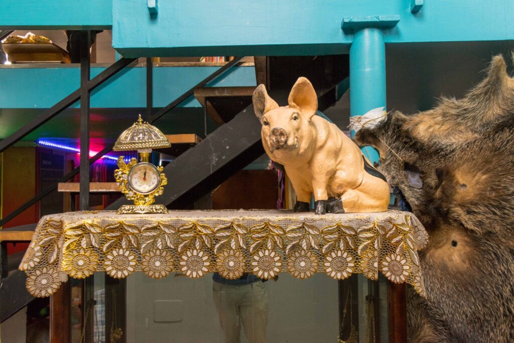 quirky pig on a table at the romanian kitsch museum, one of the fun things to see in bucharest