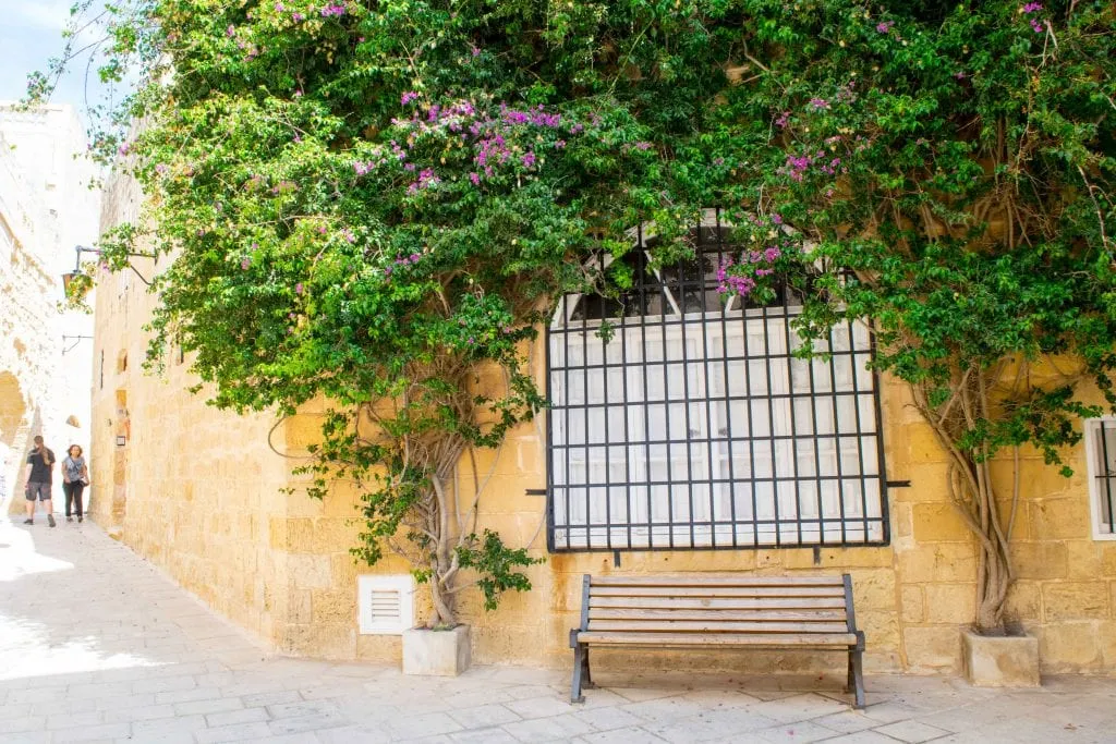 side street of mdina malta with purple flowers growing on vines
