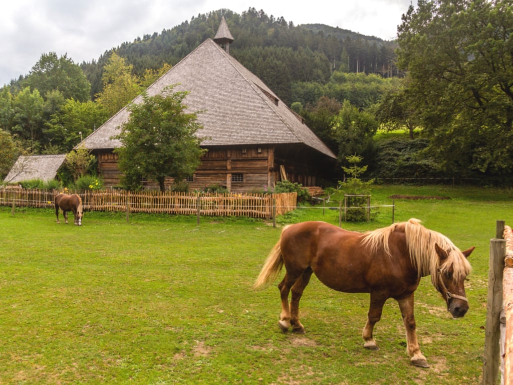 horse standing in front of a wooden building at the german black forest open air museum, a fun offbeat european destination
