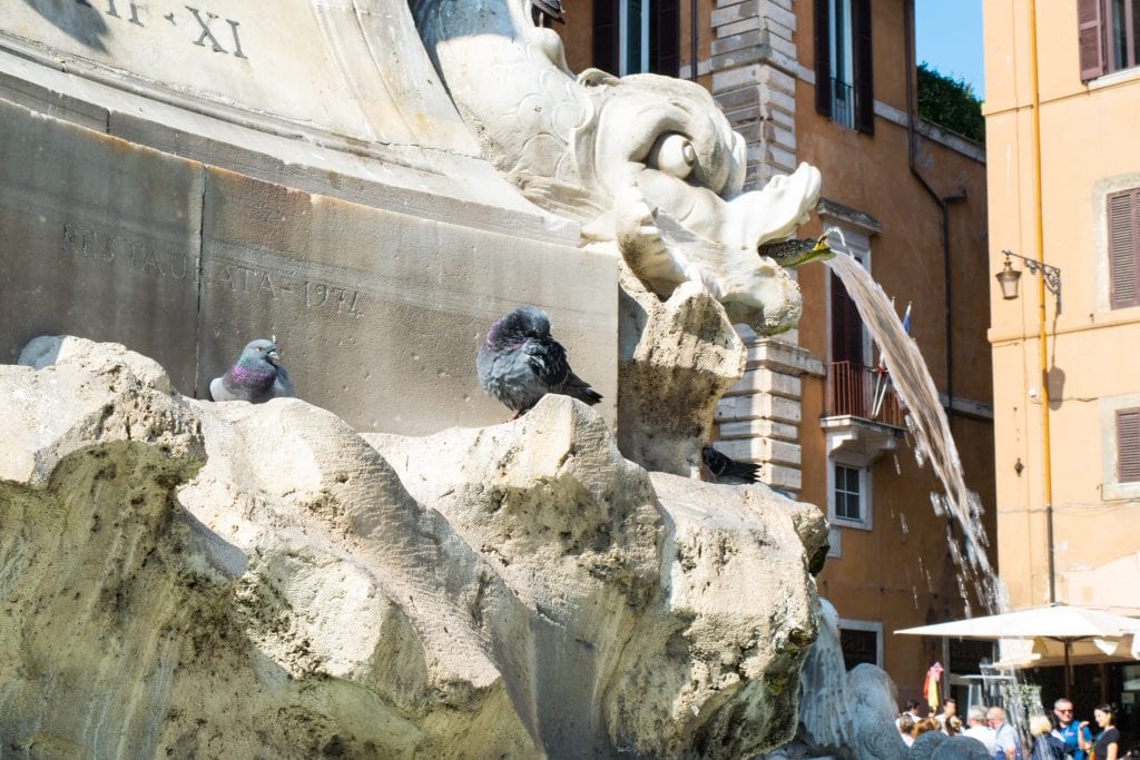 2 Days in Rome: Fountain