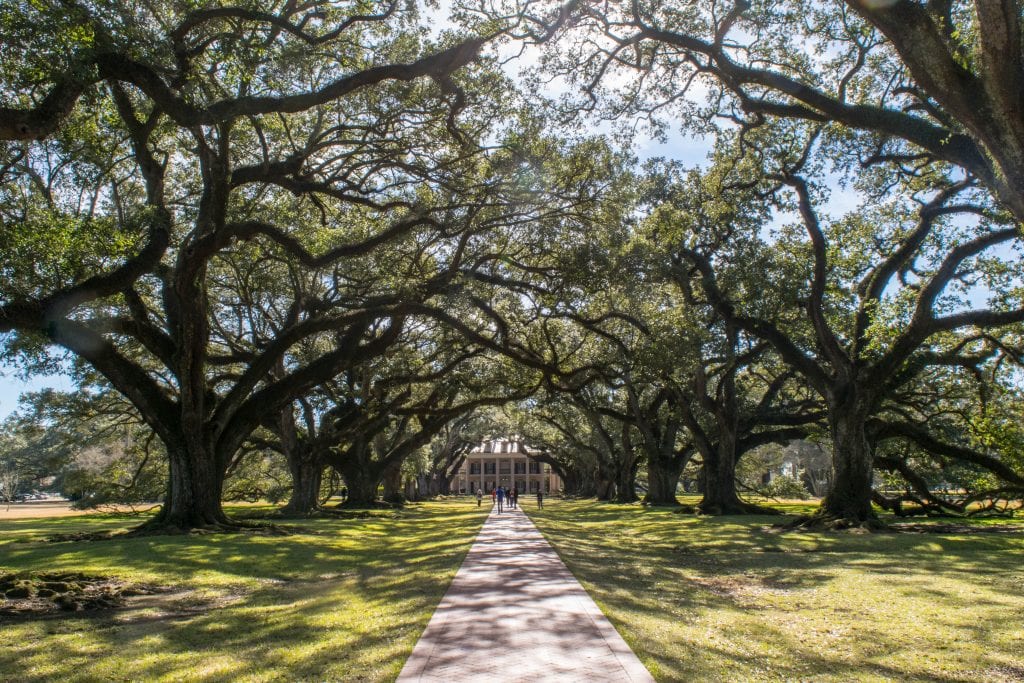 3 Days in New Orleans Itinerary: Oak Alley Plantation