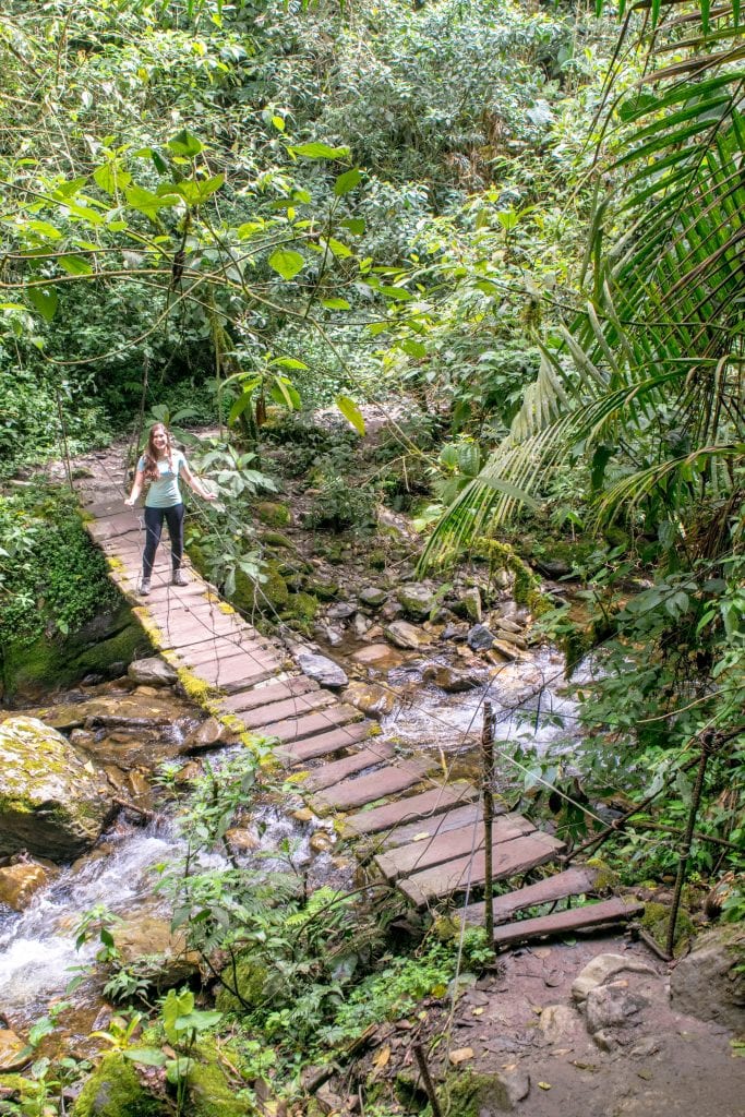 kate storm hiking over a swing bridge in the valle de cocora salento colombia