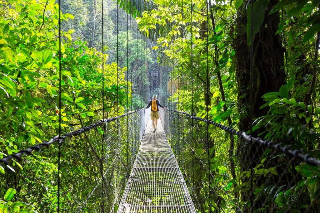 man walking on a swing bridge through the jungle in costa rica nicaragua