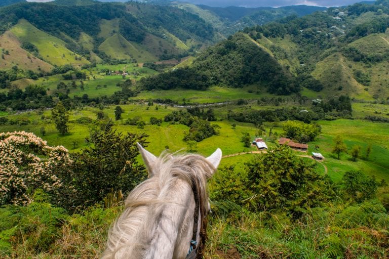 Things to Do in Salento Colombia: Horseback Riding