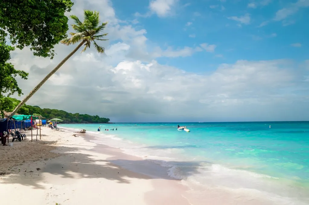 view of playa blanca colombia with a palm tree prominent on the left