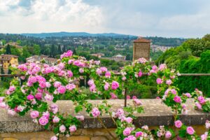 What to Do in Florence: Boboli Gardens View