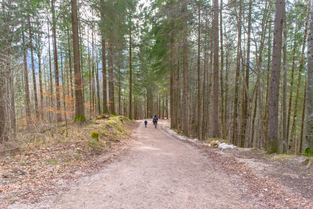Day Trip to Neuschwanstein Castle From Munich: Hiking Trail