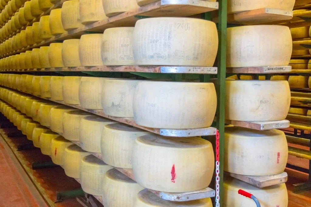 wheels of aging parmigiano-reggiano in a factory, one of the best things to do in emilia romagna