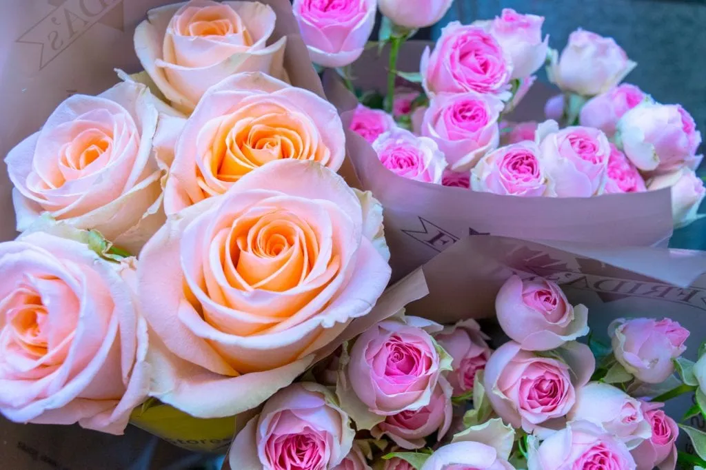 roses for sale at a stand in bologna italy