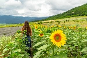 Kate Storm standing surrounded by Sunflowers in Bulgaria