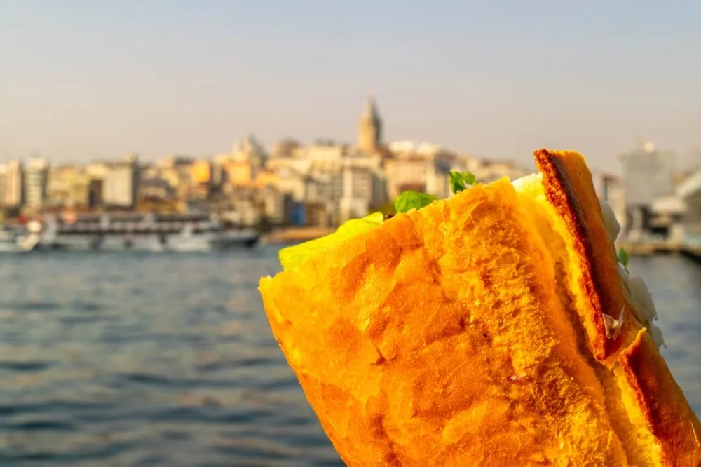 fish sandwich bought at galata bridge being held up in front of istanbul skyline