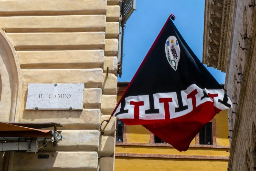 Florence to Siena Day Trip: Contrada Flag in Siena
