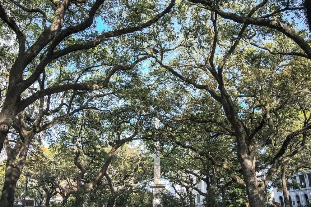 The Best Things to Do in Savannah: view of trees