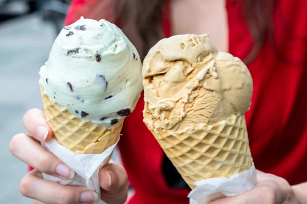 Best Things to Do in Savannah: Leopold's Ice Cream