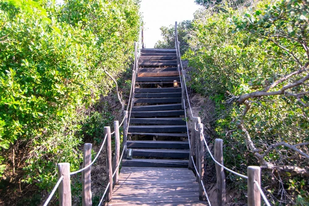 Tofo, Mozambique: Wooden Path