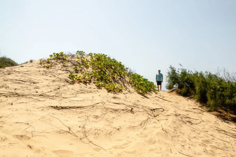 Tofo, Mozambique: Sand Dunes