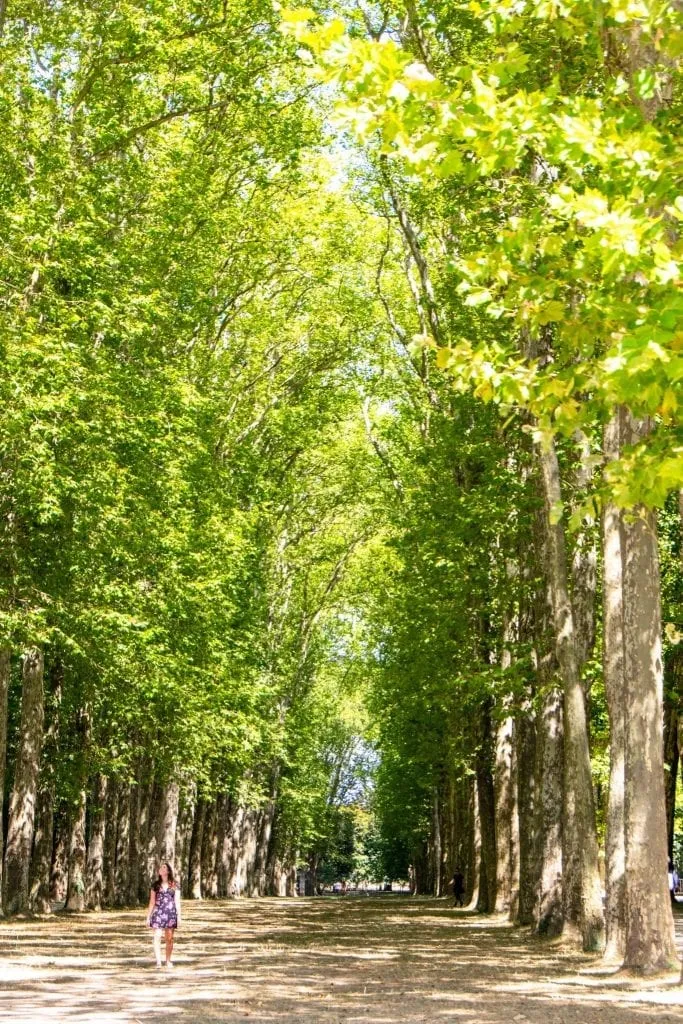 kate storm walking through leafy trees in the versailles grounds