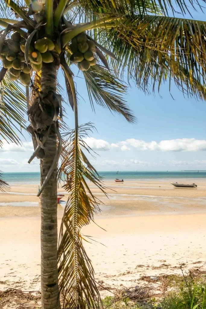 Boats in Vilanculos Mozambique