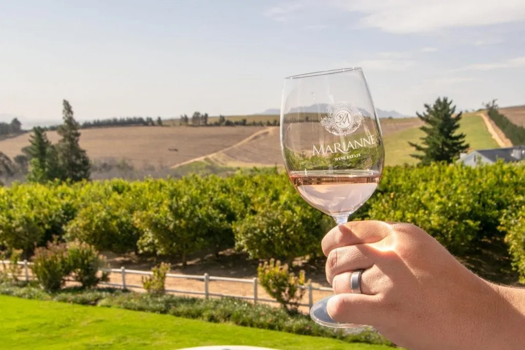 glass of wine being held in front of a vineyard during an itinerary south africa 14 days