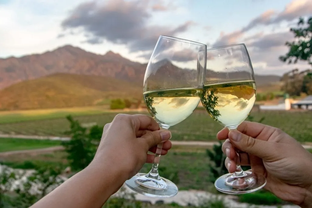 2 Week South Africa Itinerary: Wine glasses