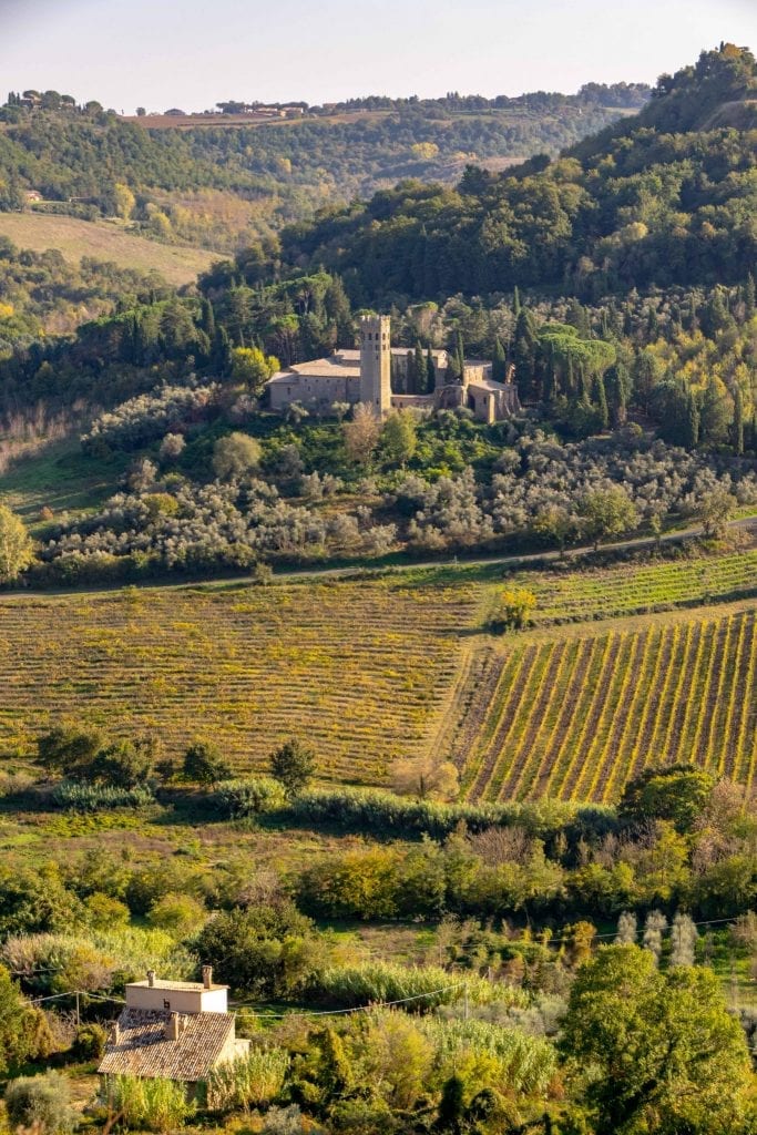 Rolling countryside near Orvieto in Umbria, with a vineyard in front and a castle in the background.